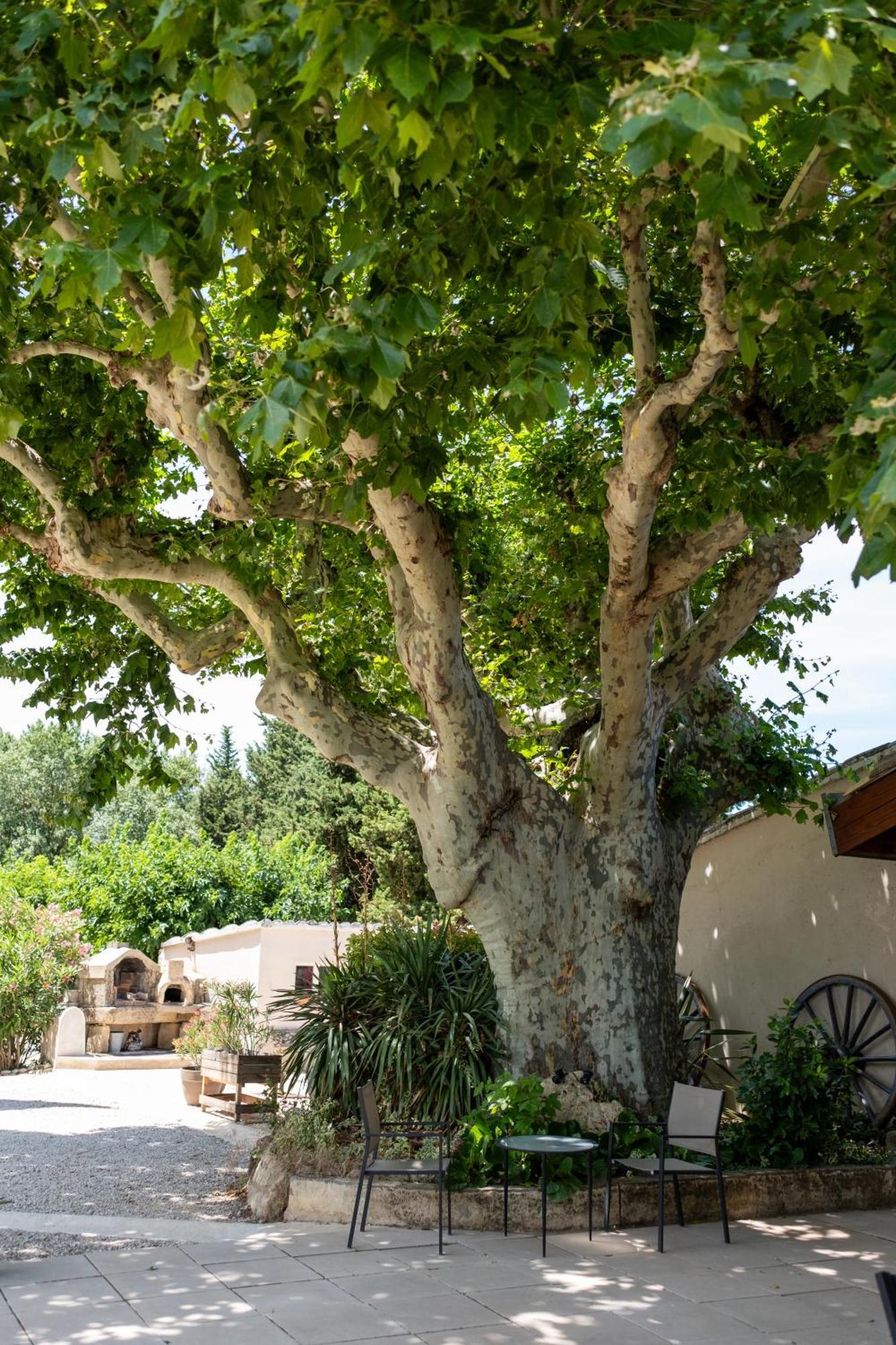 Le Vieux Platane Hotel Cairanne Exterior foto